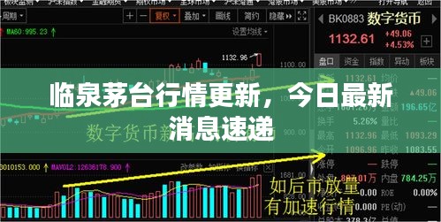 臨泉茅臺行情更新，今日最新消息速遞