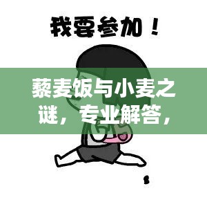 藜麥飯與小麥之謎，專業解答，百度知識一網打盡