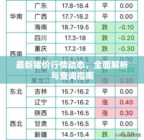 最新豬價行情動態，全面解析與查詢指南