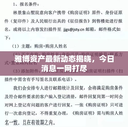 雅博資產(chǎn)最新動態(tài)揭曉，今日消息一網(wǎng)打盡