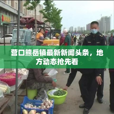 營口熊岳鎮(zhèn)最新新聞?lì)^條，地方動(dòng)態(tài)搶先看