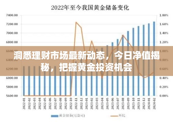 洞悉理財(cái)市場(chǎng)最新動(dòng)態(tài)，今日凈值揭秘，把握黃金投資機(jī)會(huì)