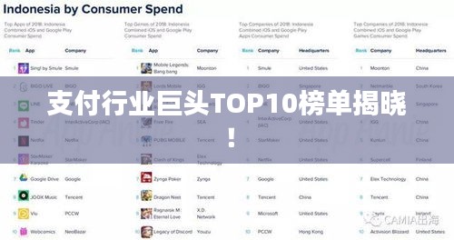支付行業(yè)巨頭TOP10榜單揭曉！