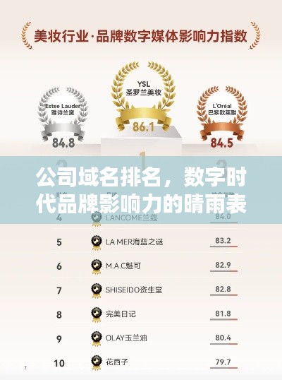 公司域名排名，數(shù)字時代品牌影響力的晴雨表
