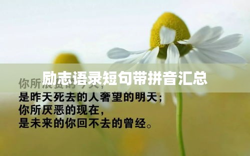 勵(lì)志語(yǔ)錄短句帶拼音匯總