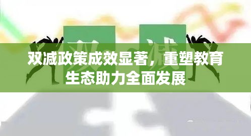 雙減政策成效顯著，重塑教育生態(tài)助力全面發(fā)展