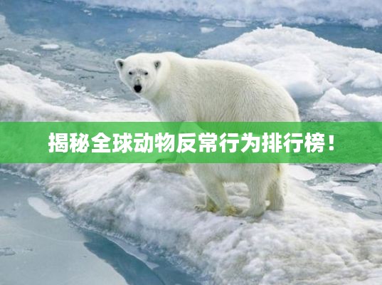 揭秘全球動(dòng)物反常行為排行榜！
