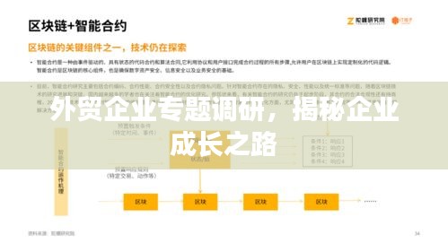 外貿(mào)企業(yè)專題調(diào)研，揭秘企業(yè)成長(zhǎng)之路
