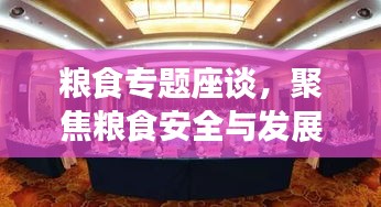 糧食專題座談，聚焦糧食安全與發(fā)展戰(zhàn)略