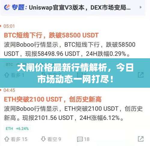 大閘價格最新行情解析，今日市場動態(tài)一網打盡！