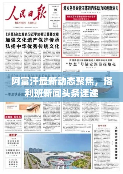 張張屈屈