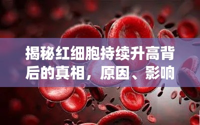 揭秘紅細胞持續升高背后的真相，原因、影響及應對策略