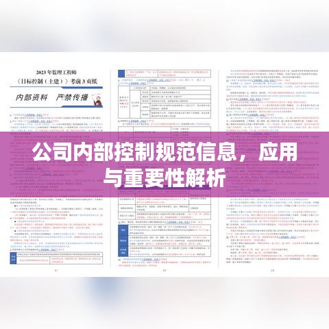 公司內部控制規范信息，應用與重要性解析