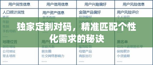 獨(dú)家定制對(duì)碼，精準(zhǔn)匹配個(gè)性化需求的秘訣