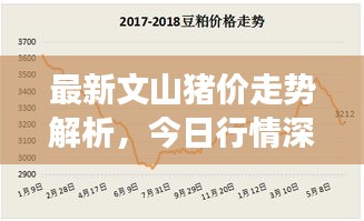 資料下載 第13頁