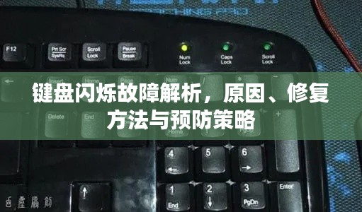 鍵盤閃爍故障解析，原因、修復(fù)方法與預(yù)防策略
