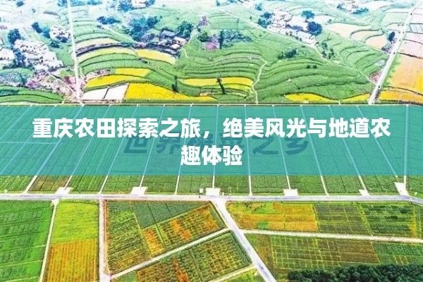 重慶農田探索之旅，絕美風光與地道農趣體驗