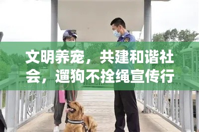 文明養寵，共建和諧社會，遛狗不拴繩宣傳行動啟動