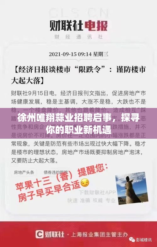 徐州唯翔蒜業(yè)招聘啟事，探尋你的職業(yè)新機(jī)遇