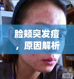 老死不相往來