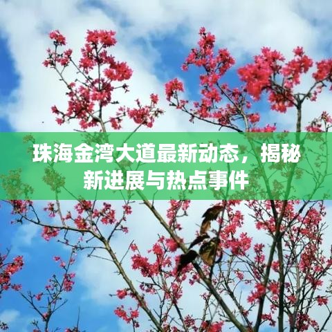 珠海金灣大道最新動態(tài)，揭秘新進(jìn)展與熱點(diǎn)事件