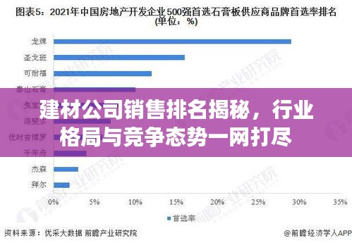 建材公司銷售排名揭秘，行業(yè)格局與競爭態(tài)勢一網(wǎng)打盡