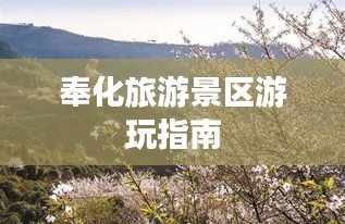 奉化旅游景區(qū)游玩指南
