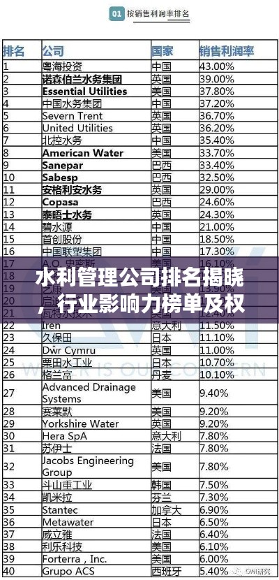 水利管理公司排名揭曉，行業影響力榜單及權威排名解析