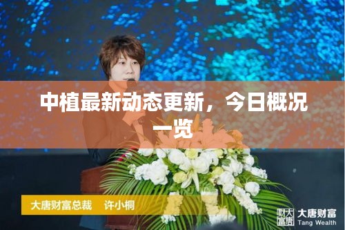 中植最新動態更新，今日概況一覽