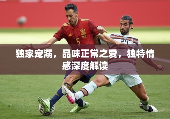 獨家寵溺，品味正常之愛，獨特情感深度解讀
