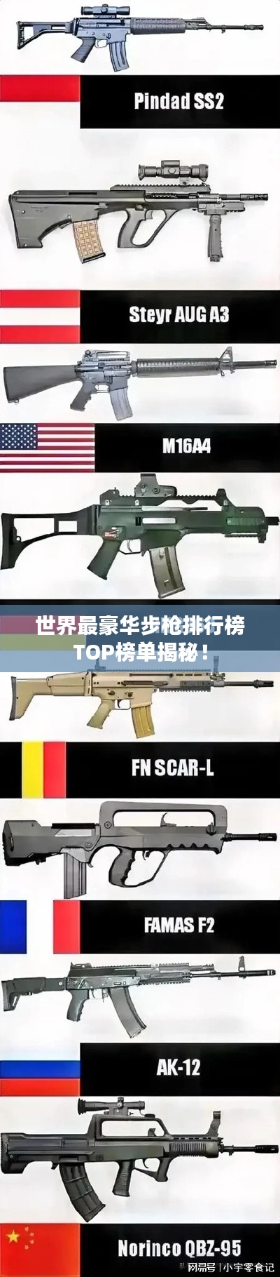 世界最豪華步槍排行榜TOP榜單揭秘！