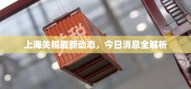 上海關稅最新動態(tài)，今日消息全解析