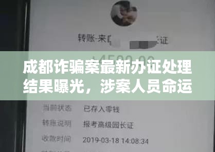 成都詐騙案最新辦證處理結果曝光，涉案人員命運揭曉