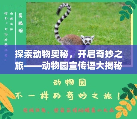 探索動(dòng)物奧秘，開啟奇妙之旅——?jiǎng)游飯@宣傳語(yǔ)大揭秘！