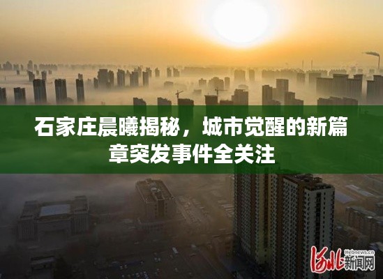 石家莊晨曦揭秘，城市覺醒的新篇章突發(fā)事件全關(guān)注