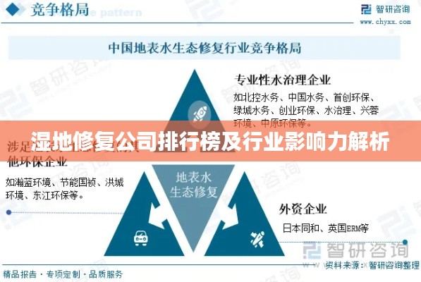 濕地修復公司排行榜及行業影響力解析