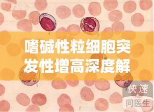 嗜堿性粒細(xì)胞突發(fā)性增高深度解析，原因、影響與應(yīng)對(duì)措施