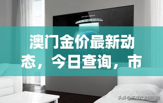 澳門金價最新動態(tài)，今日查詢，市場走勢及影響因素深度解析