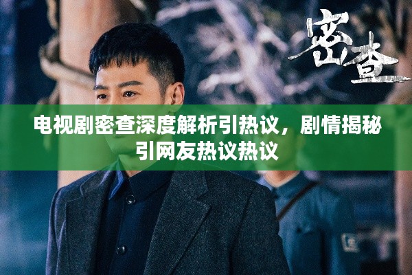 電視劇密查深度解析引熱議，劇情揭秘引網(wǎng)友熱議熱議