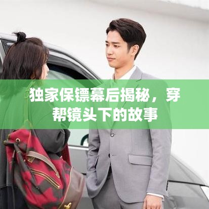 政企行業數字化軟件 第3頁