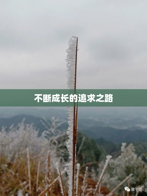 不斷成長的追求之路