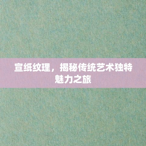 宣紙紋理，揭秘傳統(tǒng)藝術(shù)獨(dú)特魅力之旅