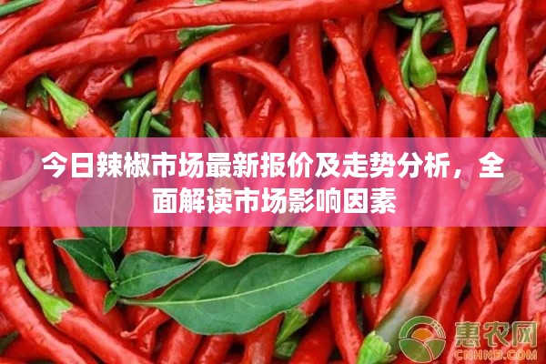 今日辣椒市場最新報(bào)價(jià)及走勢分析，全面解讀市場影響因素