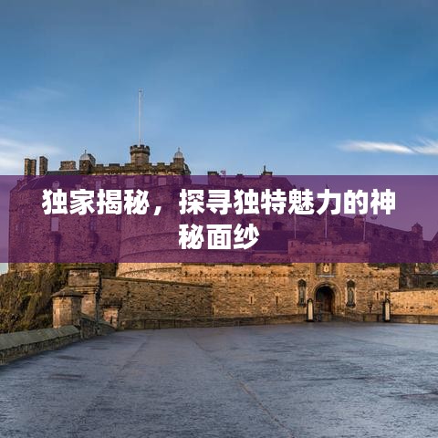 獨家揭秘，探尋獨特魅力的神秘面紗