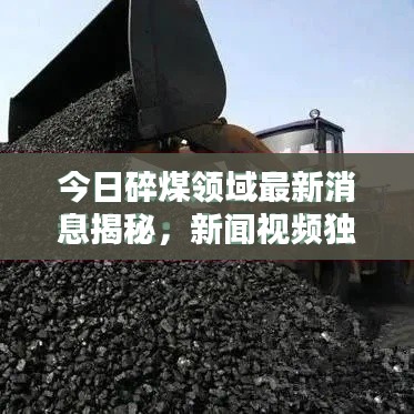 今日碎煤領域最新消息揭秘，新聞視頻獨家報道