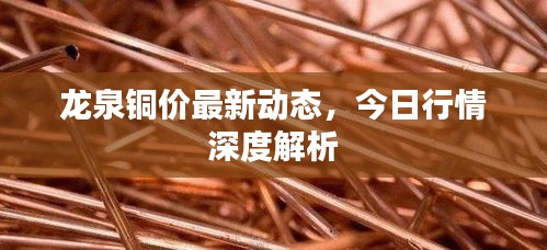 龍泉銅價最新動態(tài)，今日行情深度解析