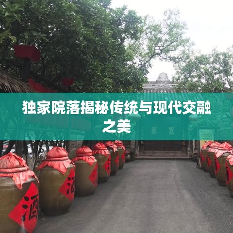 獨家院落揭秘傳統與現代交融之美