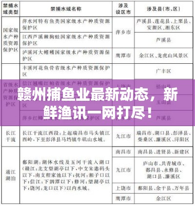 贛州捕魚業最新動態，新鮮漁訊一網打盡！
