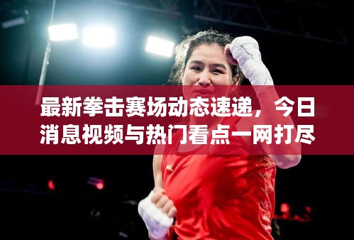 最新拳擊賽場動態速遞，今日消息視頻與熱門看點一網打盡