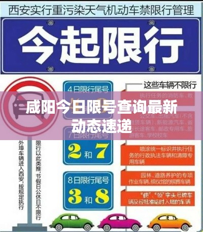 咸陽今日限號查詢最新動態速遞